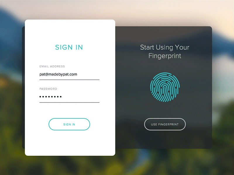 Fingerprint Sign In