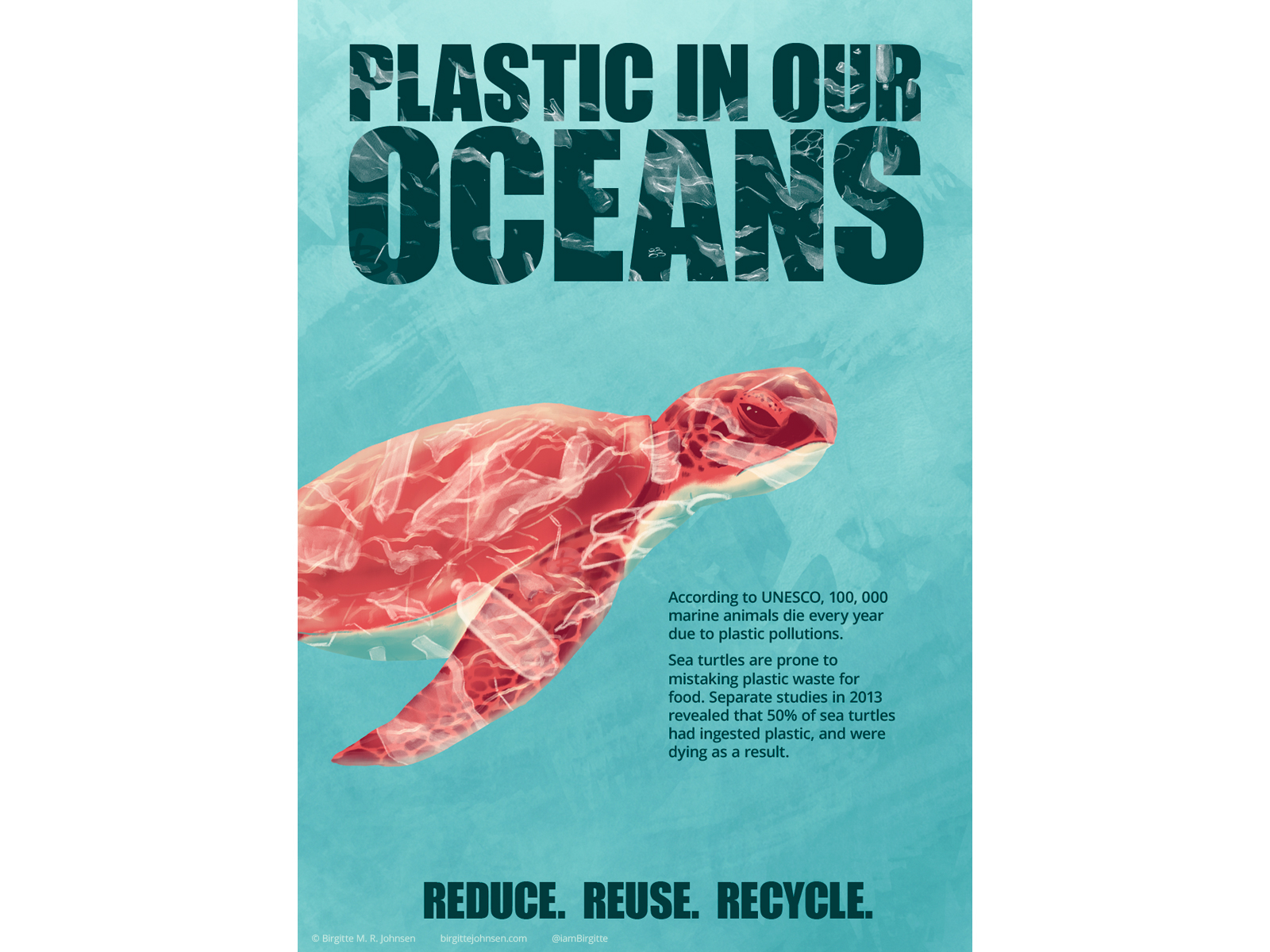 Plastic in our oceans, poster 2
