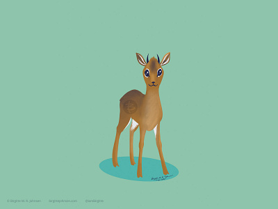 Dik-dik