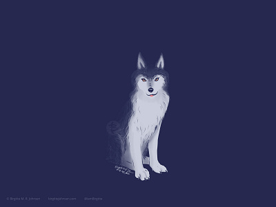 Wolf animal art digital art digital illustration illustration limited colour palette limited colours six animal challenge six animals suggested by followers wildlife wolf