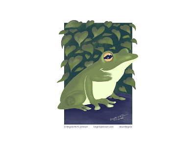 Frog amphibian animal art cute digital art digital illustration frog illustration kidlit limited colour palette limited colours whimsical