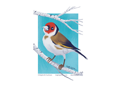 European Goldfinch animal art bird cute digital art digital illustration european goldfinch goldfinch illustration limited colour palette limited colours six animal challenge six animals whimsical