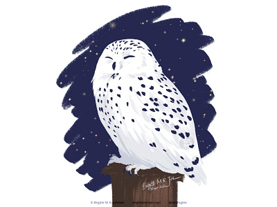 Snowy owl animal art bird birds of prey digital art digital illustration follower suggested image illustration limited colour palette limited colours owl snowy owl