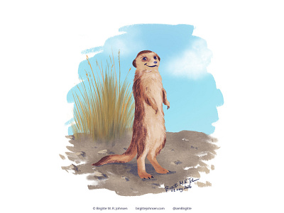 Meerkat animal art digital art digital illustration follower suggested image illustration meerkat