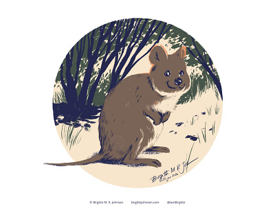 Quokka animal animals art cute digital art digital illustration follower suggested image illustration limited colour palette limited colours quokka six animals