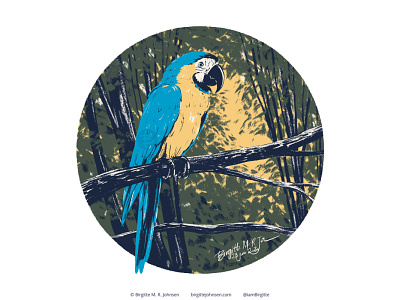 Blue And Gold Macaw animal art bird cute digital art digital illustration follower suggested image illustration limited colour palette limited colours macaw parrot six animals