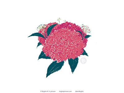 Hydrangea art art challenge digital art digital illustration flora flower huely huely challenge huely2020 hydrangea illustration limited colour palette limited colours