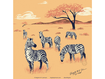 Zebras