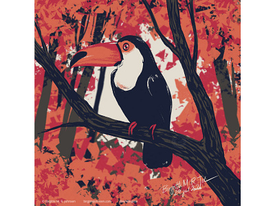 Toucan animal art bird cute digital art digital illustration huely huely challenge huely2020 illustration limited colour palette limited colours toucan