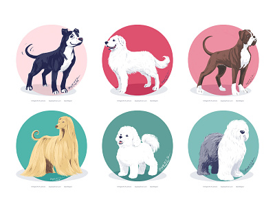 Doggust 2020, first six dogs animal art cute digital art digital illustration dog dog illustration doggust doggust2020 illustration