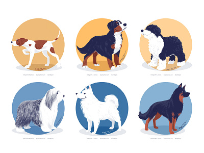 Doggust 2020, the third set of six dogs
