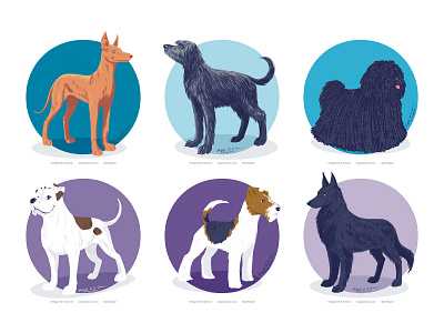 Doggust 2020, the fifth set of six dogs animal art cute digital art dog dog illustration doggust doggust2020 illustration