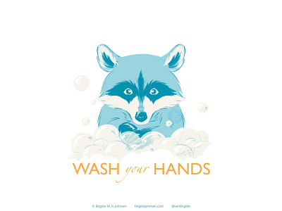 Raccoon - wash your hands