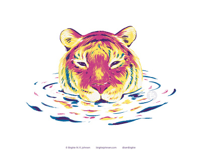 Bathing tiger