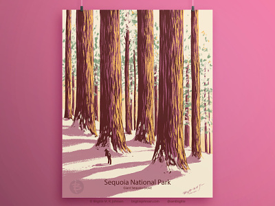 Sequoia National Park poster design destination destination poster digital illustration illustration landscape limited colour palette limited colours national park poster poster design scenery us national park