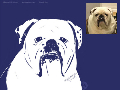 Gladys, the english bulldog animal portrait art digital art digital illustration dog english bulldog