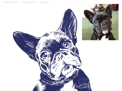 Daphne, the french bulldog animal portrait digital art digital illustration dog dog portrait french bulldog puppy