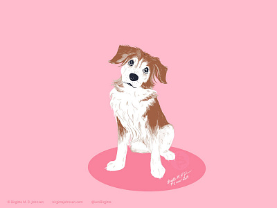 Lucky the border collie - golden retriever mix animal animal portrait art border collie cute digital art digital illustration dog dog art dog portrait golden retriever illustration limited colour palette limited colours