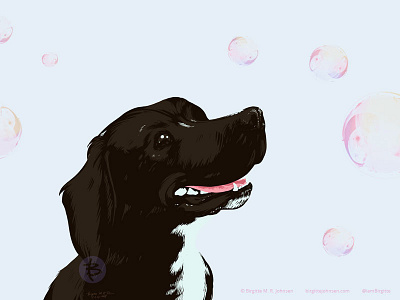 Morty the stocker animal animal portrait art digital art digital illustration dog dog portrait illustration pet portrait soap bubbles