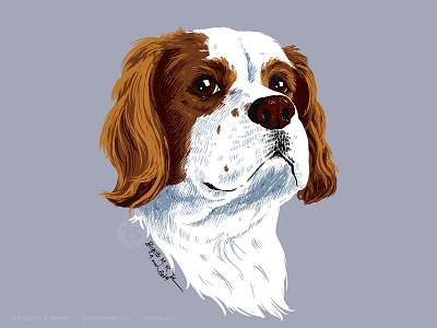 Watson the king cavalier charles spaniel animal animal art animal portrait art digital art digital illustration dog dog portrait king cavalier charles spaniel limited colour palette limited colours pet portrait