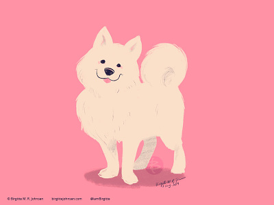 Samoyed animal art digital art digital illustration dog dog illustration doggust doggust2019 illustration limited colour palette limited colours