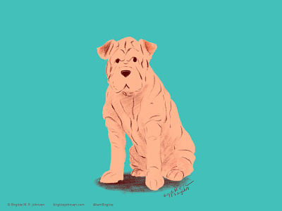 Shar Pei animal art digital art digital illustration dog dog illustration doggust doggust2019 illustration limited colour palette limited colours