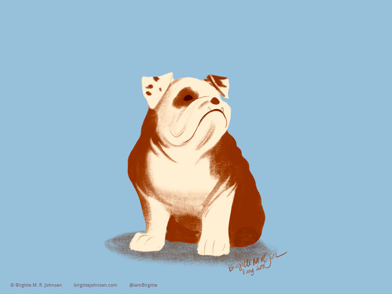 Bulldog doggust2019 doggust bulldogs dog illustration bulldog dog animal limited colours limited colour palette art illustration digital art digital illustration
