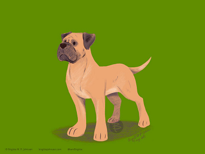 Mastiff animal art digital art digital illustration dog dog illustration doggust doggust2019 illustration limited colour palette limited colours