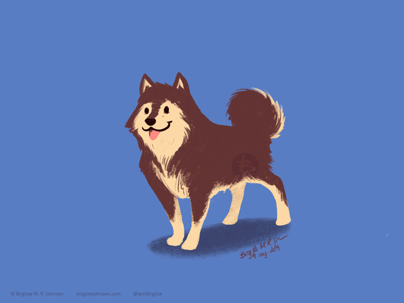 Finnish Lapphund doggust2019 doggust dog illustration dog animal limited colours limited colour palette art illustration digital art digital illustration