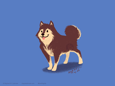 Finnish Lapphund animal art digital art digital illustration dog dog illustration doggust doggust2019 illustration limited colour palette limited colours