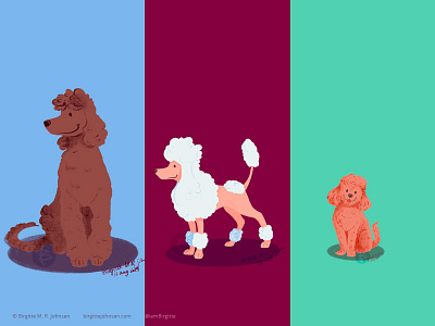 Poodles animal art digital art digital illustration dog dog illustration doggust doggust2019 dogs illustration limited colour palette limited colours poodle