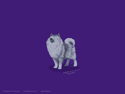 Keeshond animal art digital art digital illustration dog dog illustration doggust2019 illustration limited colour palette limited colours