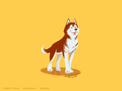 Siberian Husky animal art digital art digital illustration dog dog illustration doggust2019 illustration limited colour palette limited colours
