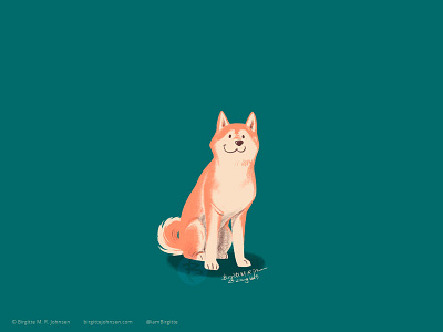 Shiba Inu animal art digital art digital illustration dog dog illustration doggust2019 illustration limited colour palette limited colours