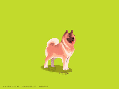 Eurasier animal art digital art digital illustration dog dog illustration doggust2019 illustration limited colour palette limited colours