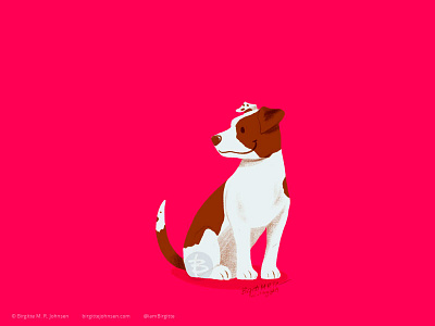 Jack Russell Terrier animal art digital art digital illustration dog dog illustration doggust2019 illustration limited colour palette limited colours
