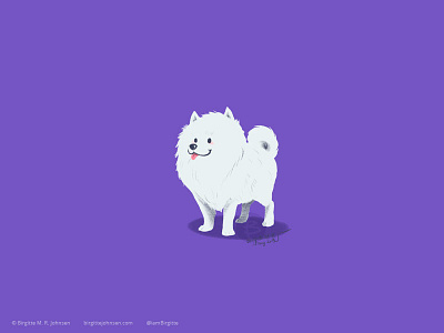 Pomeranian animal art digital art digital illustration dog dog illustration doggust2019 illustration limited colour palette limited colours