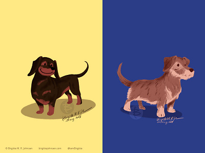 Dachshund animal art digital art digital illustration dog dog illustration doggust2019 illustration limited colour palette limited colours