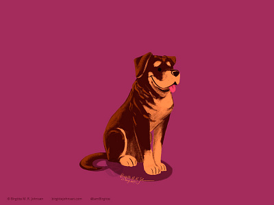 Rottweiler animal art digital art digital illustration dog dog illustration doggust2019 illustration limited colour palette limited colours