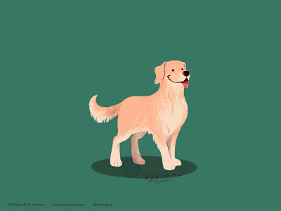 Golden Retriever animal art digital art digital illustration dog dog illustration doggust2019 illustration limited colour palette limited colours