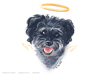 Gizmo animal art digital art digital illustration dog dog illustration dog portrait illustration portrait portrait art