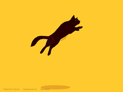 Leaping black cat