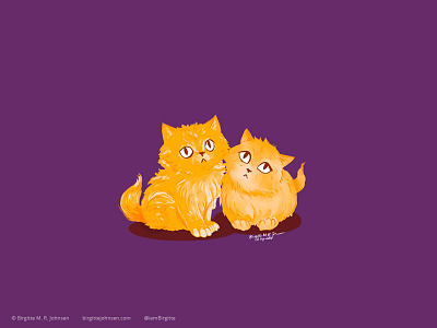 Persian kittens