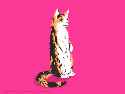 Standing LaPerm animal art cat cat drawing cat illustration cattember cattember2019 digital art digital illustration illustration limited colour palette limited colours