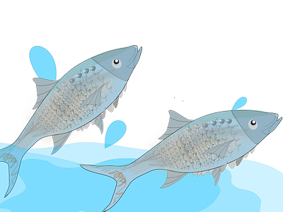 American Shad, Twin fish Illustration. freehand drawing illustration work
