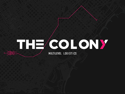 The Colony Ants