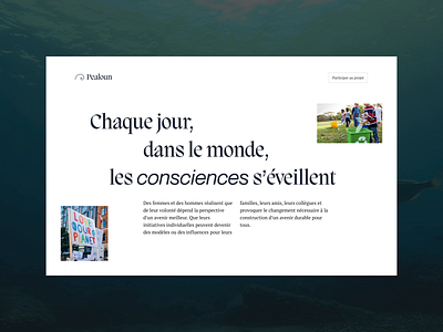 Pealoun — Website 0 waste association branding design ecology fish interaction interface ocean plastic sea ui