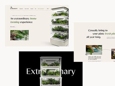 La Grangette — Website fridge green healthy interaction ui ux vegetables