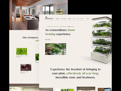 La Grangette — Website animation design fridge healthy interface typography ui ux vegetables