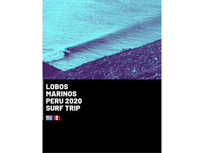 Lobos Marinos (t-shirt art)